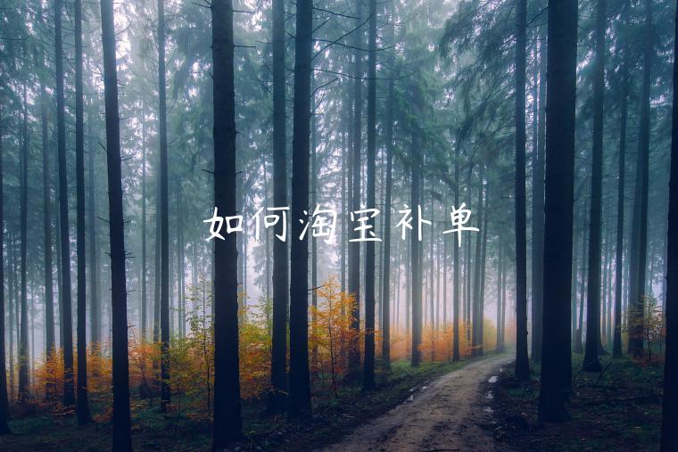 如何淘寶補(bǔ)單